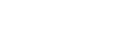 VNPT - IT
